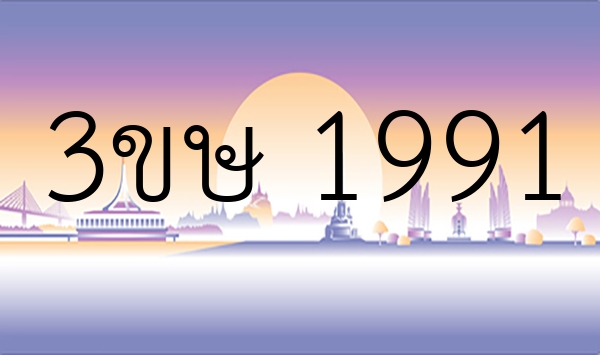 3ขษ 1991